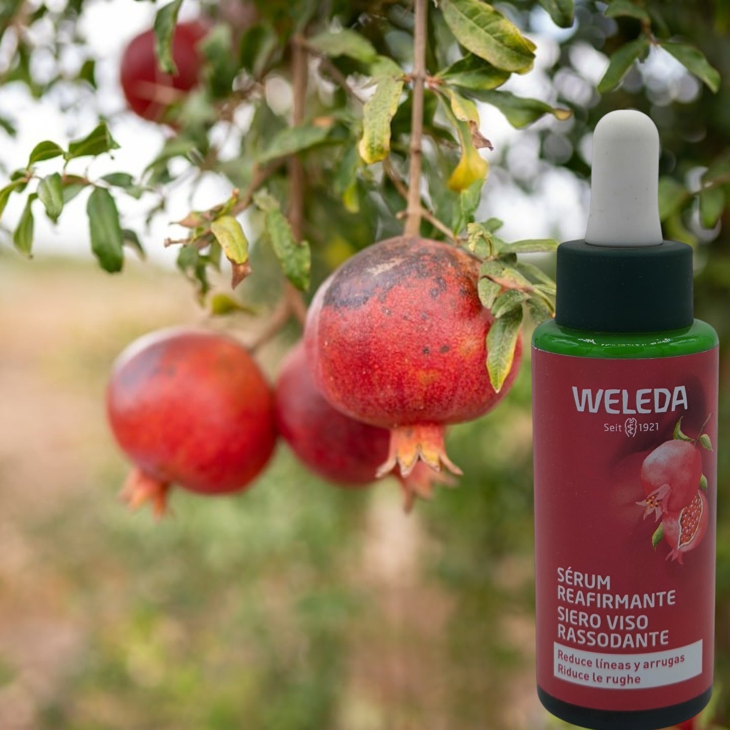 Sérum Reafirmante de granada Weleda, Sérum facial 100% natural, Piel firme y luminosa. Antiarrugas, Reduce líneas de expresión