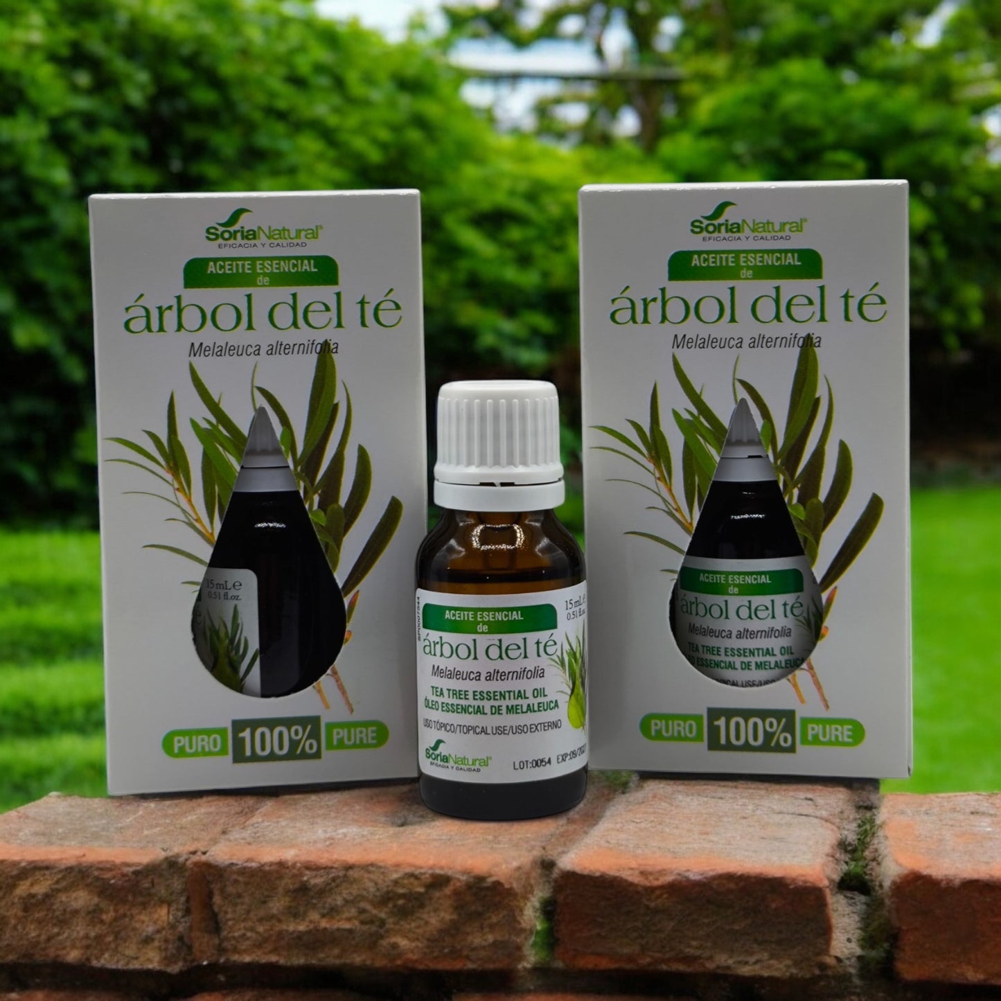 Aceite Esencial Árbol del Té 15ml Soria Natural, Antisèptico, Antifúngico, Combate los piojos, hongos y picaduras de insectos, Desinfectante, Aceite esencial natural, Cuidado del cabello y piel. Antibacteriano